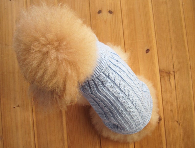 FAMI Dog Clothes Dogs Sweater Soft Puppies Clothing Winter Puppy Sweaters Warm Outfit for Dogs Small XS S Cat Apparel(SkyBlue,Medium) - Image 3
